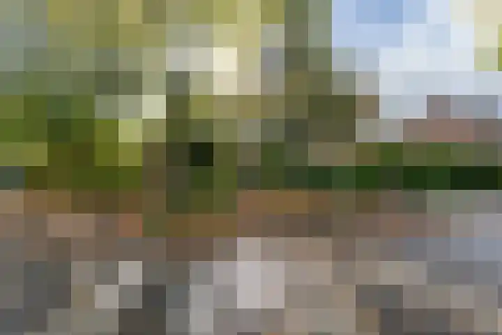 Witte de Withstraat 29 Amersfoort thumbnail 52