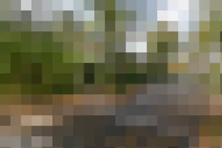 Witte de Withstraat 29 Amersfoort thumbnail 53