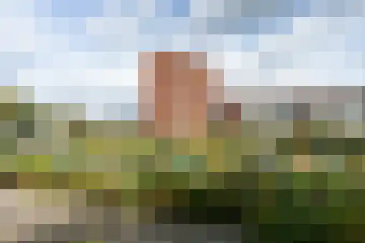Witte de Withstraat 29 Amersfoort thumbnail 55
