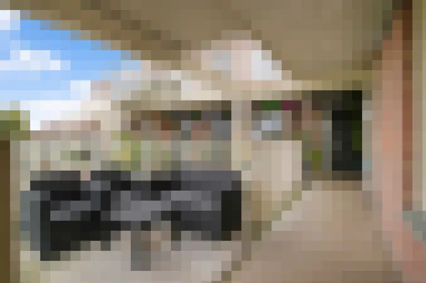 Witte de Withstraat 3 A Amsterdam thumbnail 18