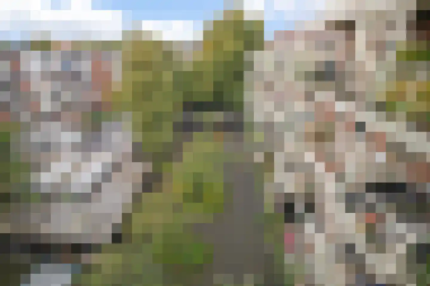 Witte de Withstraat 3 A Amsterdam thumbnail 19