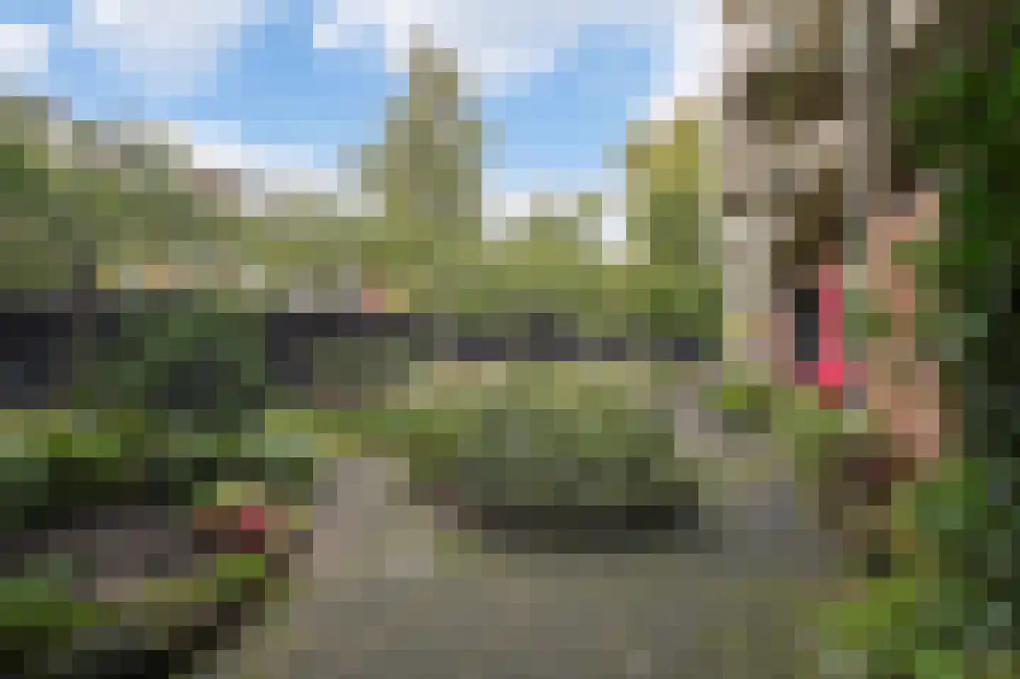 Witte de Withstraat 3 A Amsterdam thumbnail 24