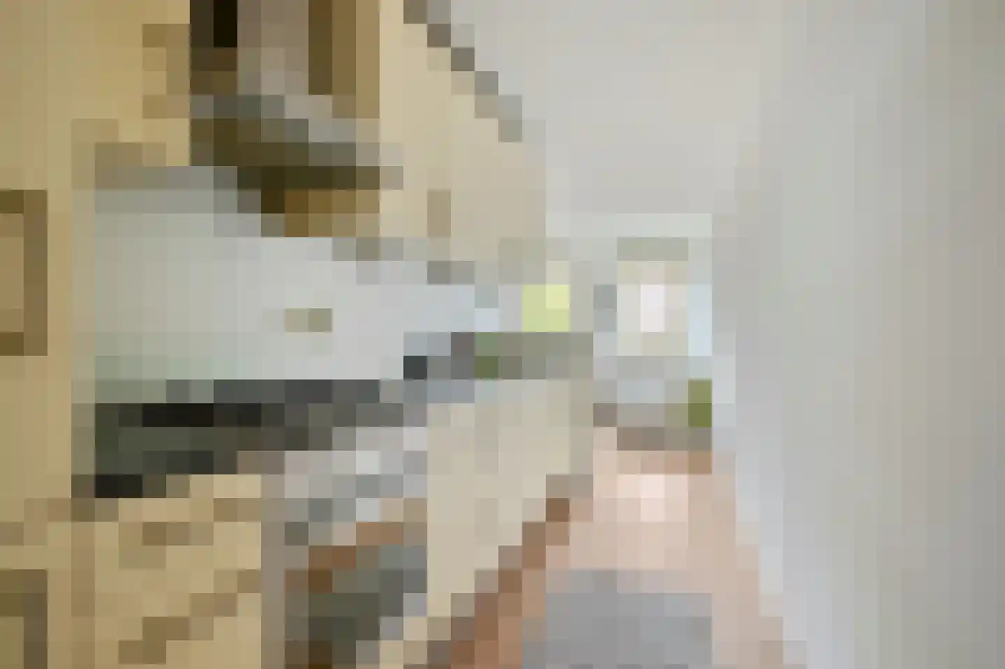 Witte de Withstraat 3 A Amsterdam thumbnail 5