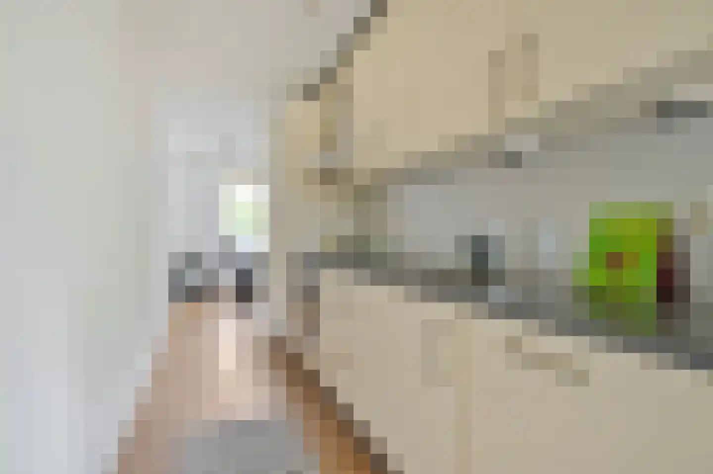 Witte de Withstraat 3 A Amsterdam thumbnail 6