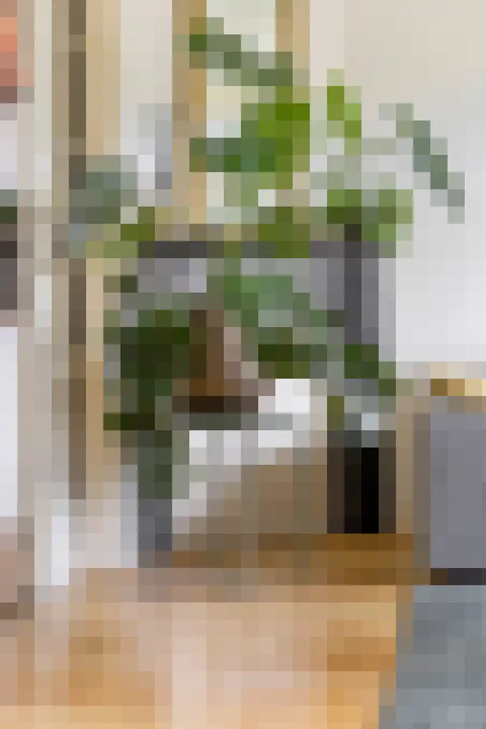 Witte de Withstraat 3 a Groningen thumbnail 10