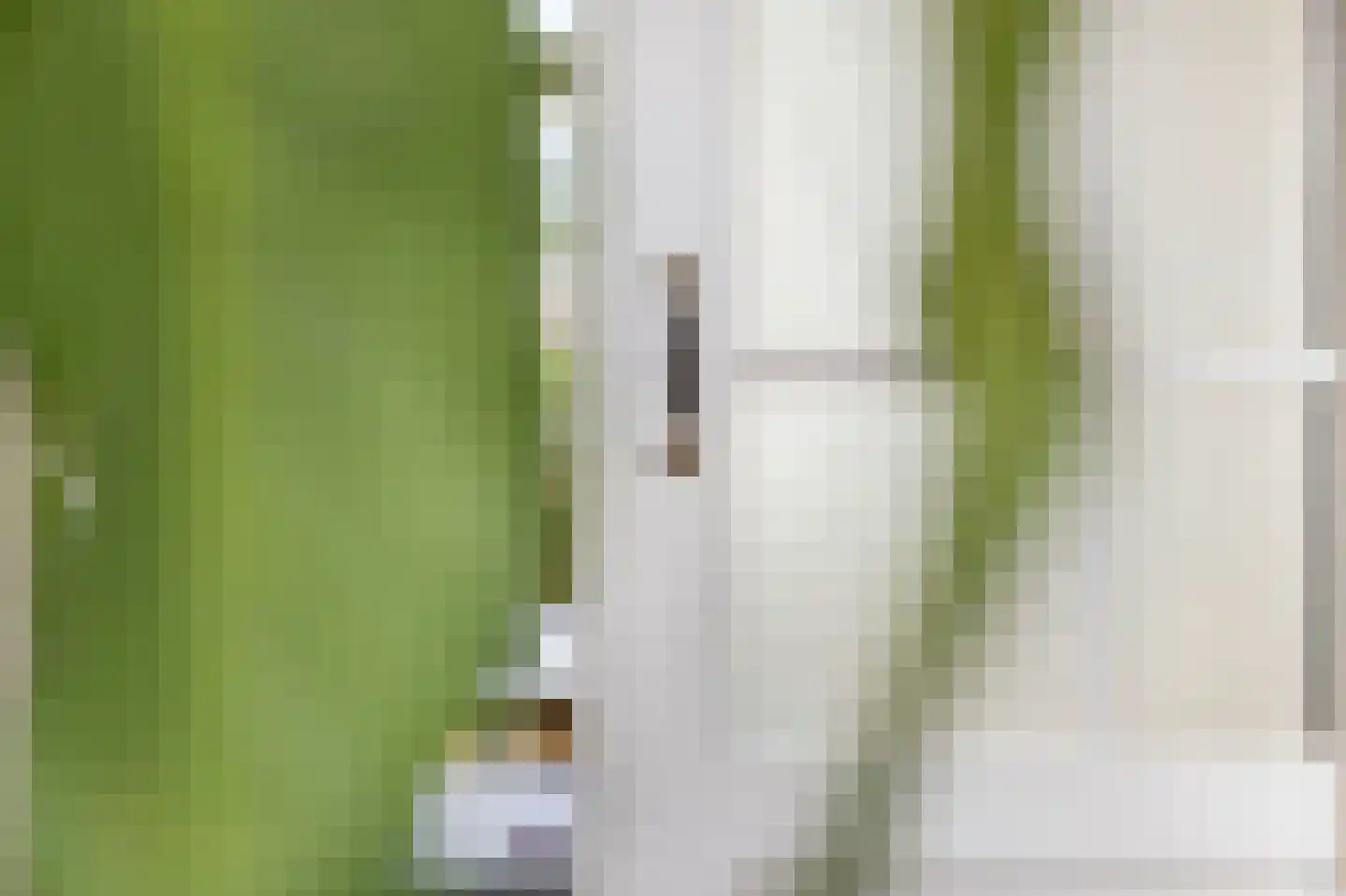 Witte de Withstraat 3 a Groningen thumbnail 12
