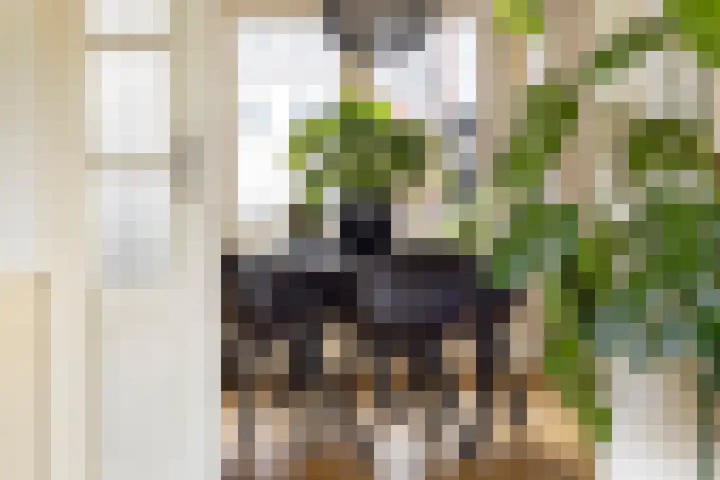 Witte de Withstraat 3 a Groningen thumbnail 13