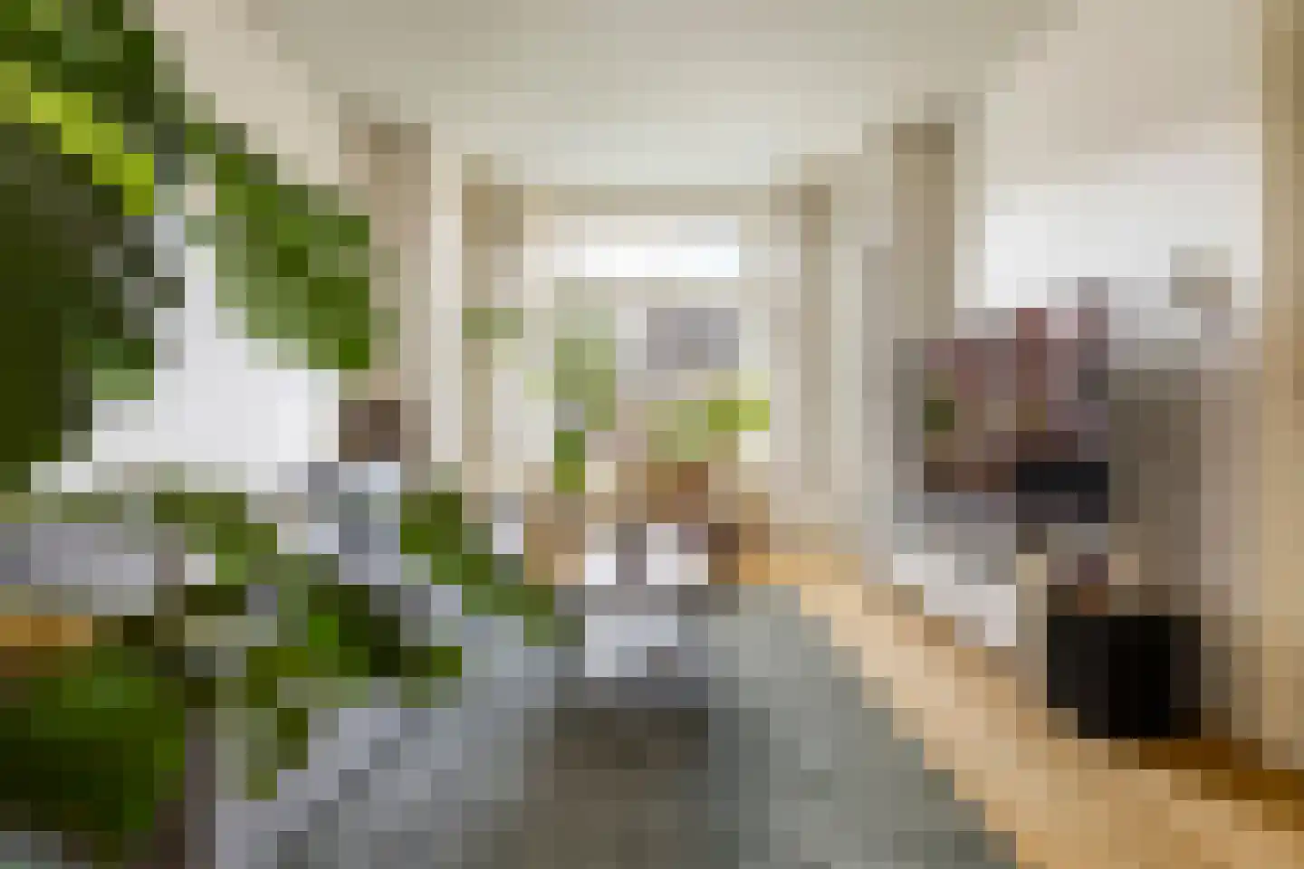 Witte de Withstraat 3 a Groningen thumbnail 13
