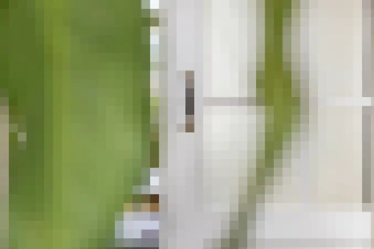 Witte de Withstraat 3 a Groningen thumbnail 14