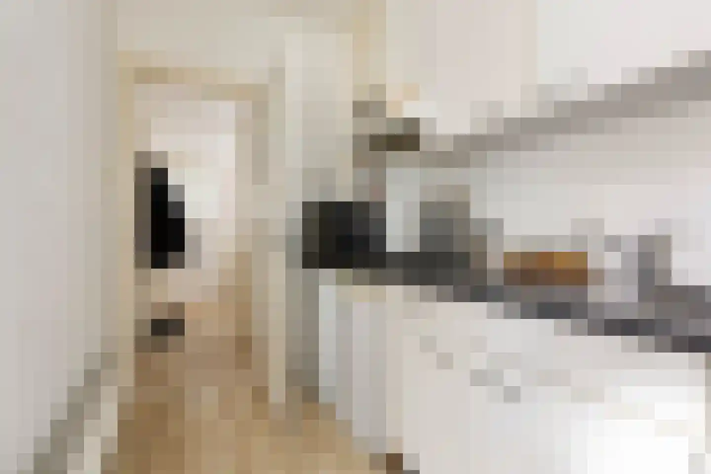 Witte de Withstraat 3 a Groningen thumbnail 19