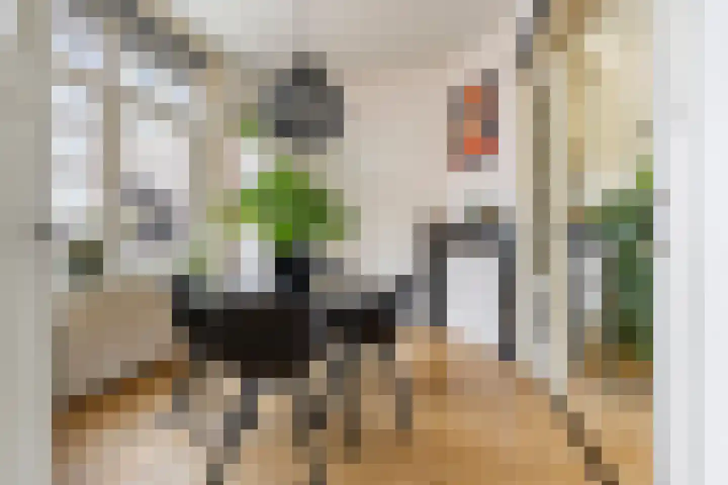 Witte de Withstraat 3 a Groningen thumbnail 4