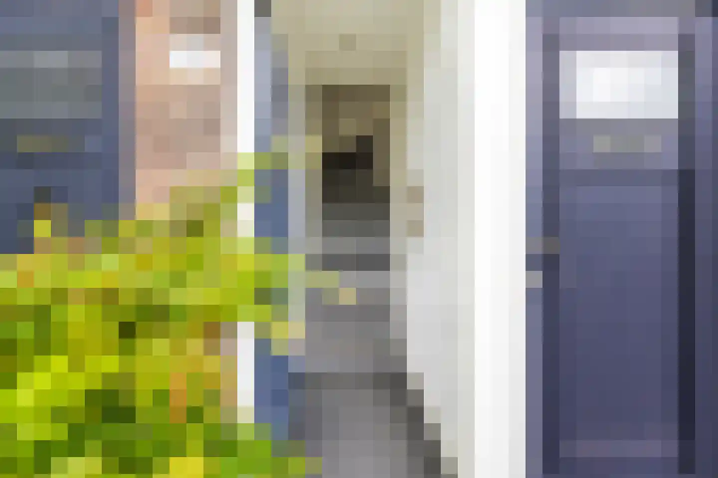 Witte de Withstraat 3 a Groningen thumbnail 8