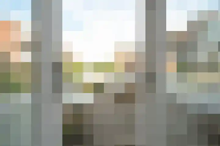 Witte de Withstraat 3 Den Haag thumbnail 26