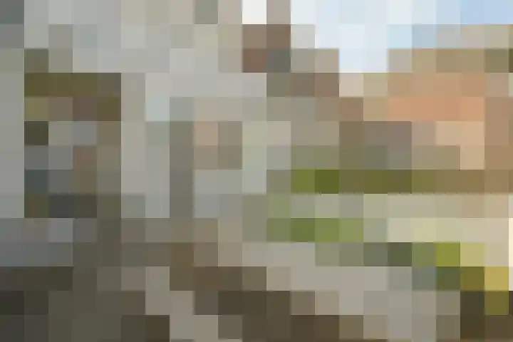 Witte de Withstraat 3 Den Haag thumbnail 29