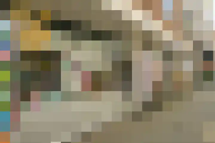 Witte de Withstraat 3 Den Haag thumbnail 41
