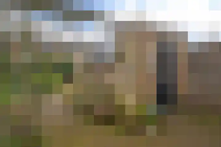 Witte de Withstraat 30 Huizen thumbnail 13