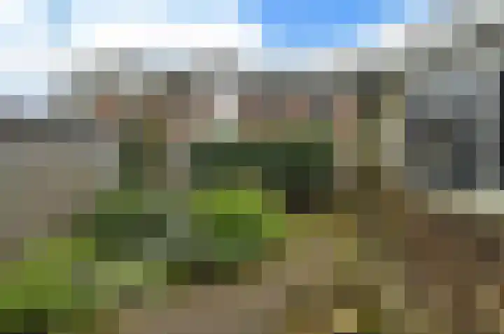 Witte de Withstraat 30 Huizen thumbnail 14
