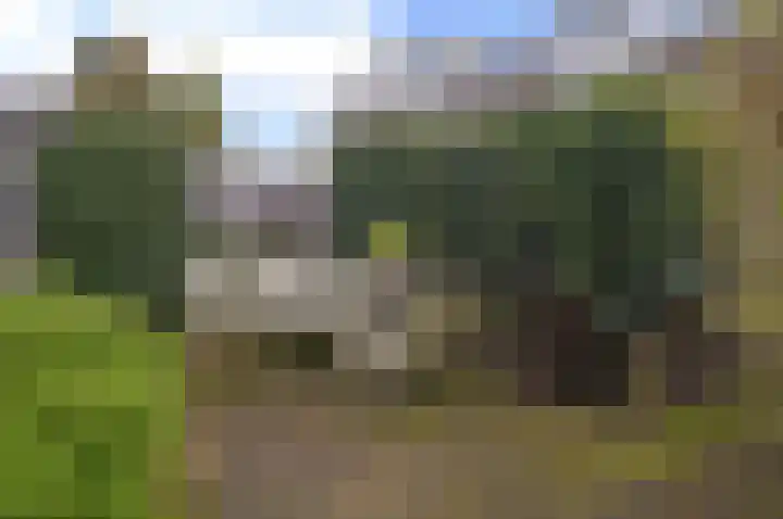 Witte de Withstraat 30 Huizen thumbnail 15
