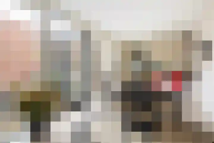 Witte de Withstraat 30 Oud-Beijerland thumbnail 12