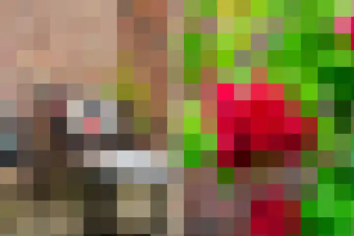 Witte de Withstraat 30 Oud-Beijerland thumbnail 15