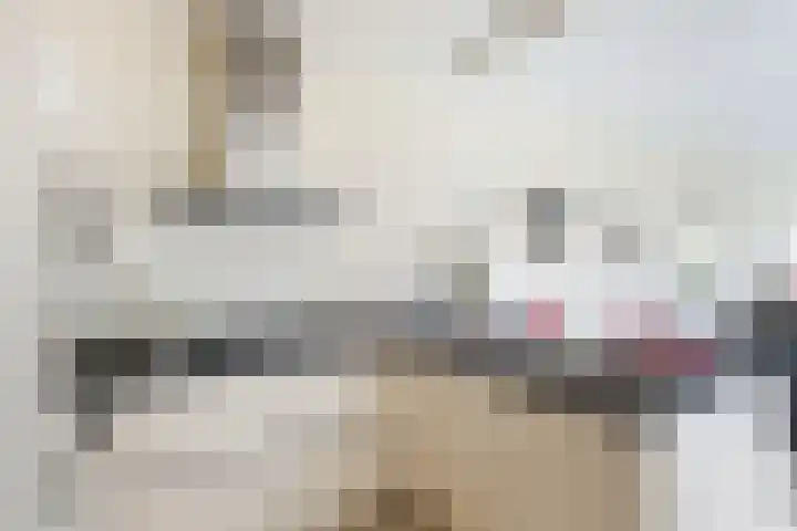 Witte de Withstraat 30 Oud-Beijerland thumbnail 22