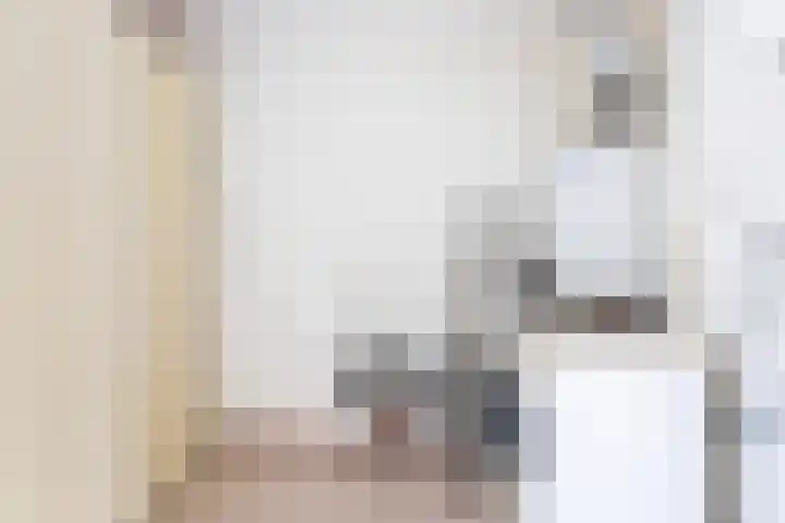 Witte de Withstraat 30 Oud-Beijerland thumbnail 24