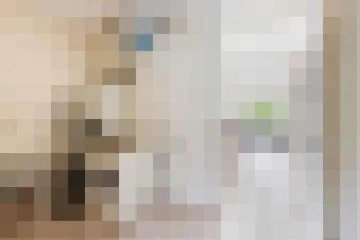 Witte de Withstraat 30 Oud-Beijerland thumbnail 25