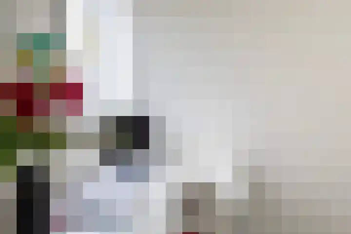 Witte de Withstraat 30 Oud-Beijerland thumbnail 39
