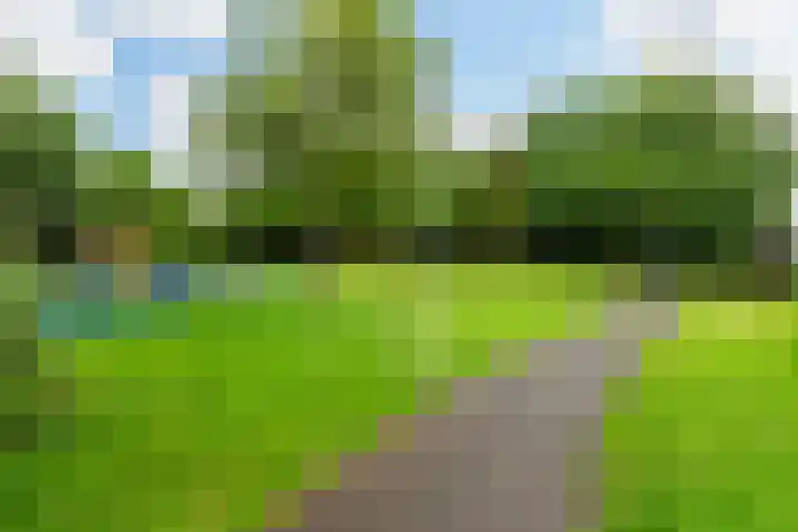 Witte de Withstraat 30 Oud-Beijerland thumbnail 41