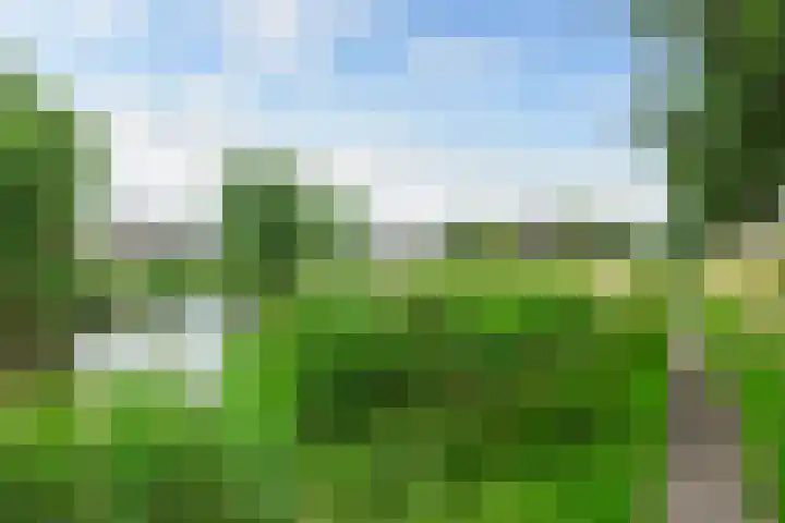 Witte de Withstraat 30 Oud-Beijerland thumbnail 42
