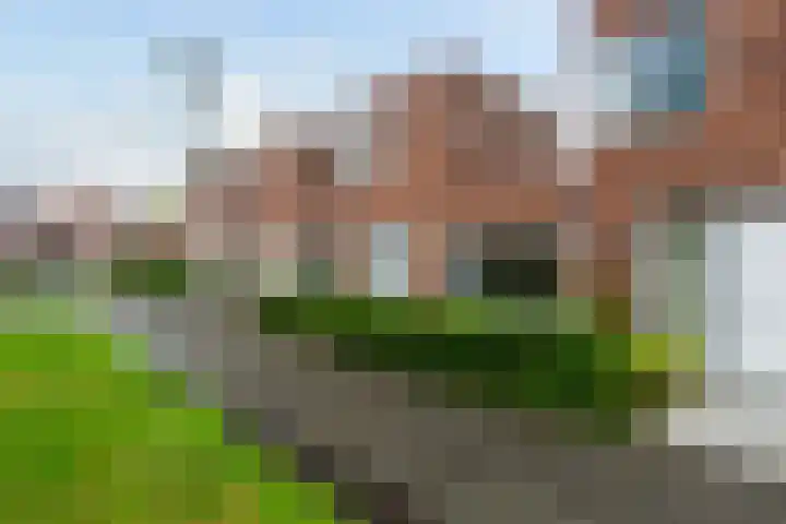 Witte de Withstraat 30 Oud-Beijerland thumbnail 45