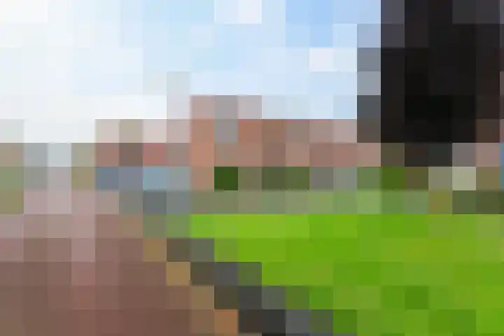 Witte de Withstraat 30 Oud-Beijerland thumbnail 46