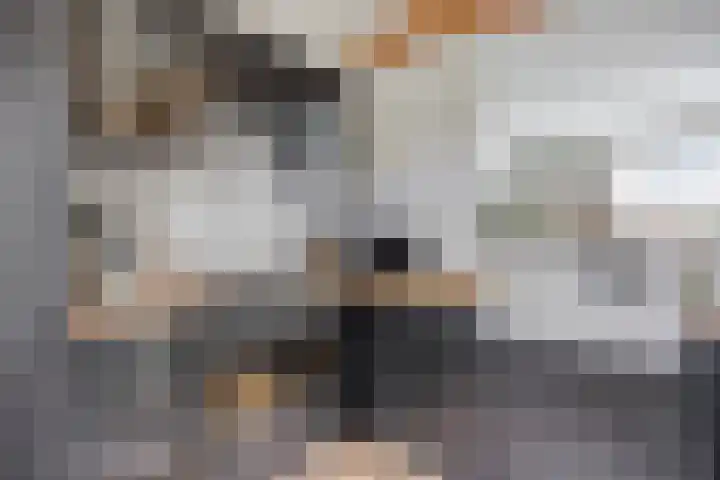 Witte de Withstraat 32 Brielle thumbnail 13