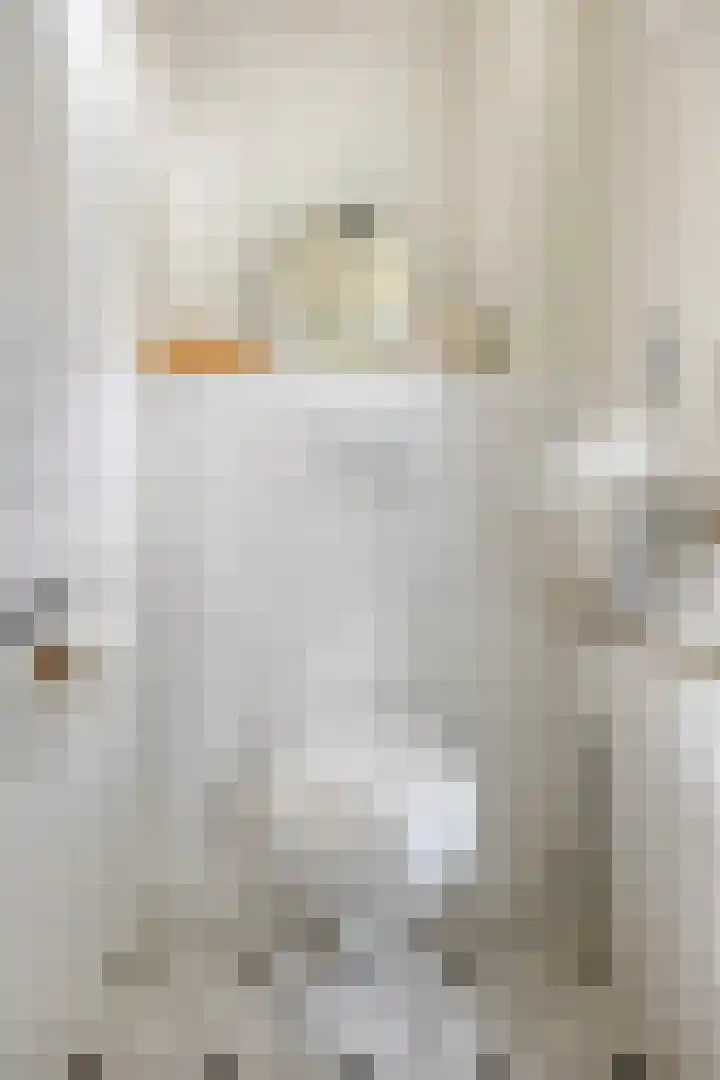 Witte de Withstraat 32 Brielle thumbnail 17