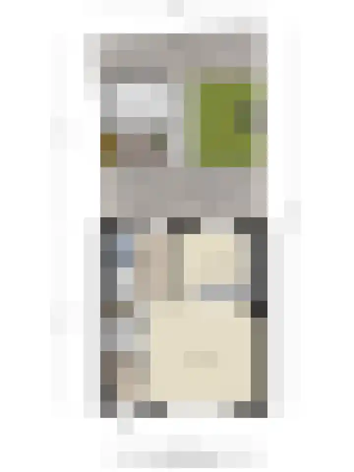 Witte de Withstraat 32 Brielle thumbnail 41