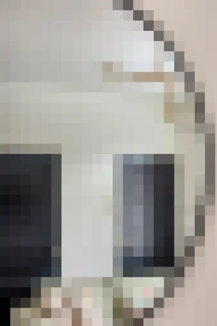 Witte de Withstraat 32 Brielle thumbnail 8