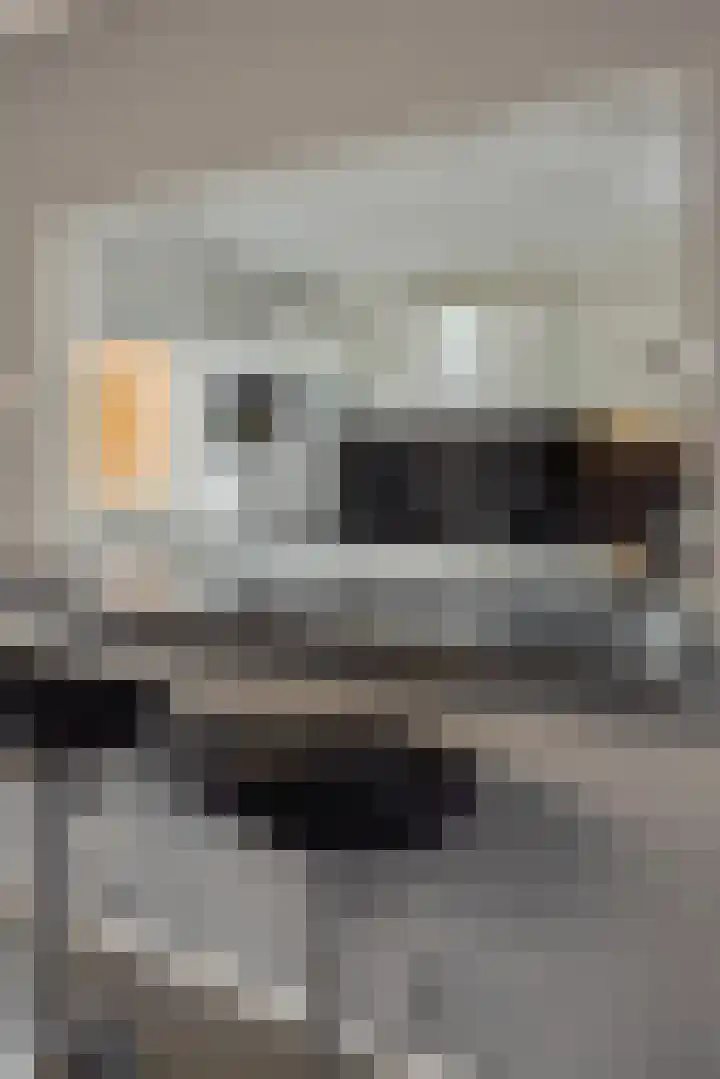 Witte de Withstraat 32 Helmond thumbnail 22
