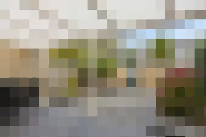 Witte de Withstraat 32 Helmond thumbnail 35