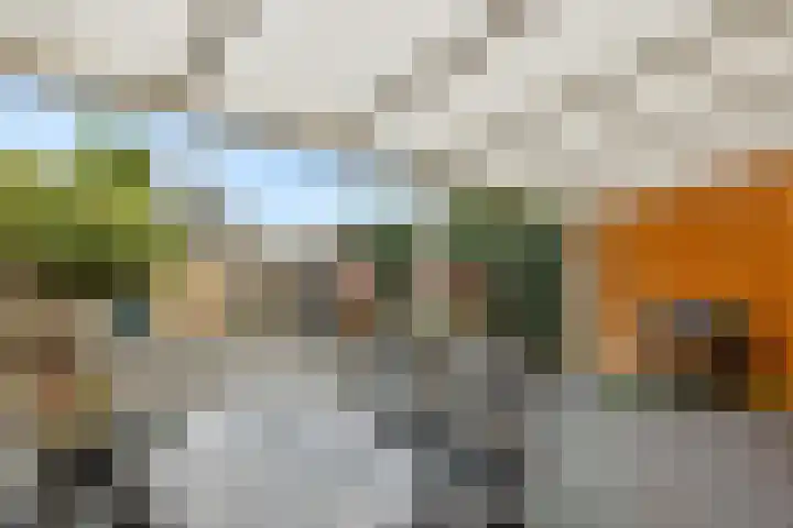 Witte de Withstraat 32 Helmond thumbnail 36
