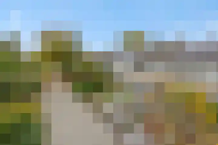 Witte de Withstraat 32 Helmond thumbnail 6