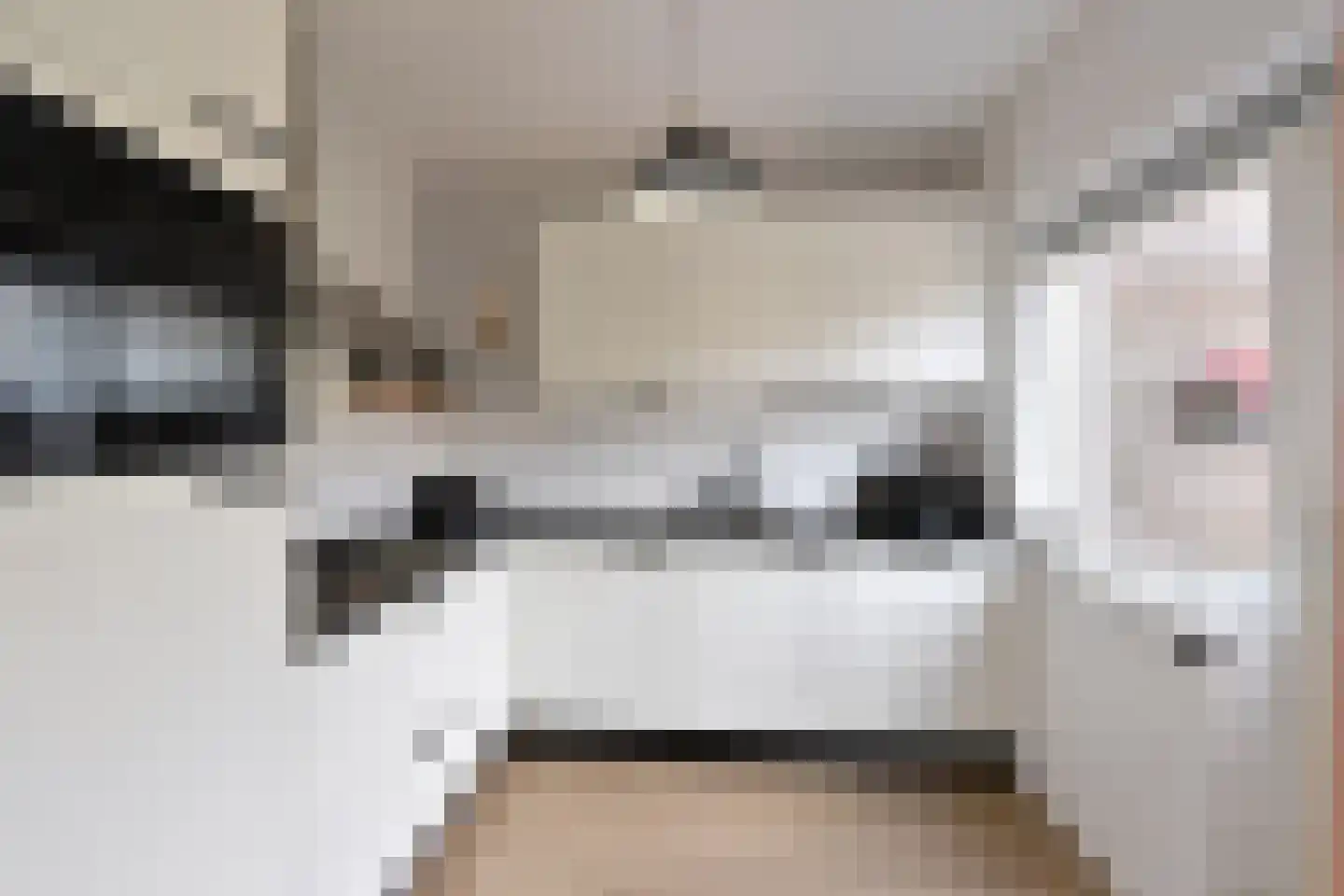 Witte de Withstraat 32 Huizen thumbnail 7