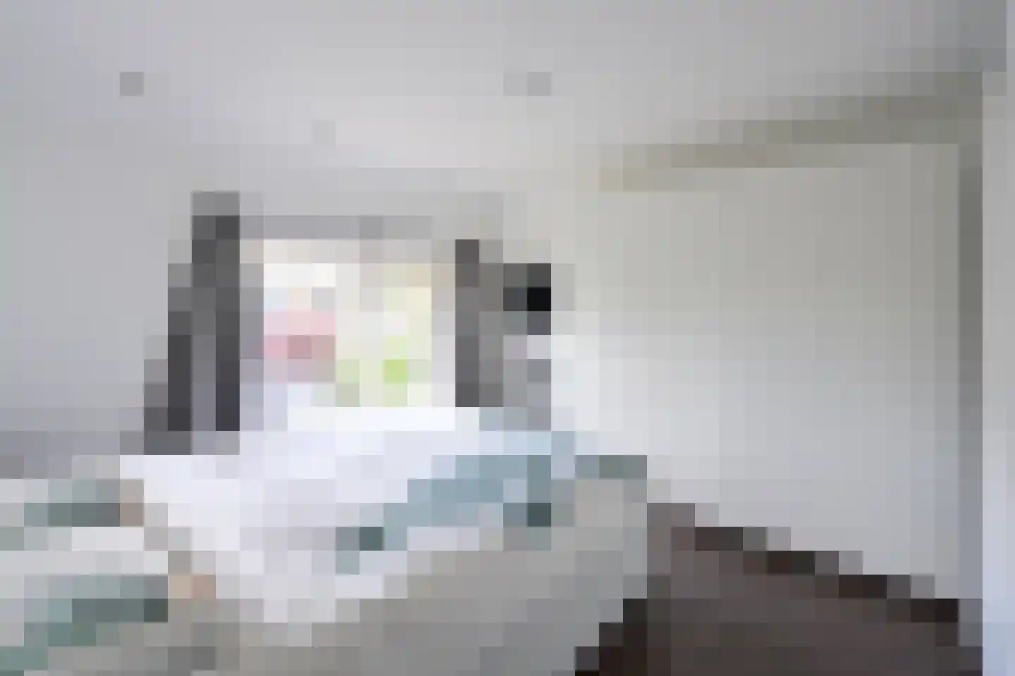 Witte de Withstraat 32 Huizen thumbnail 8