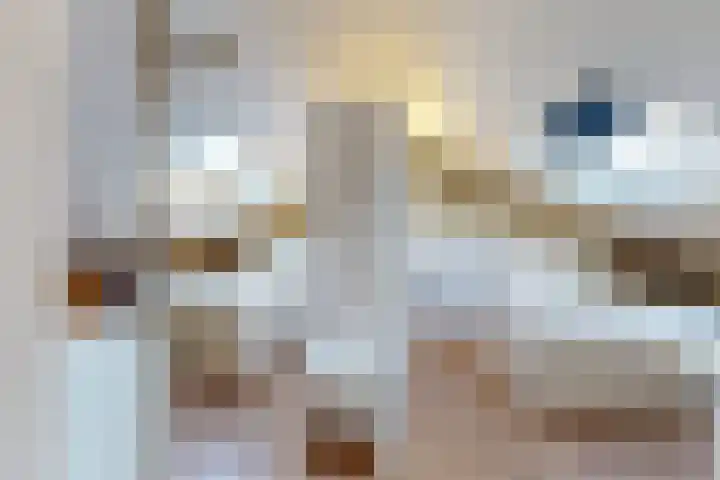 Witte de Withstraat 34 Alphen aan den Rijn thumbnail 17