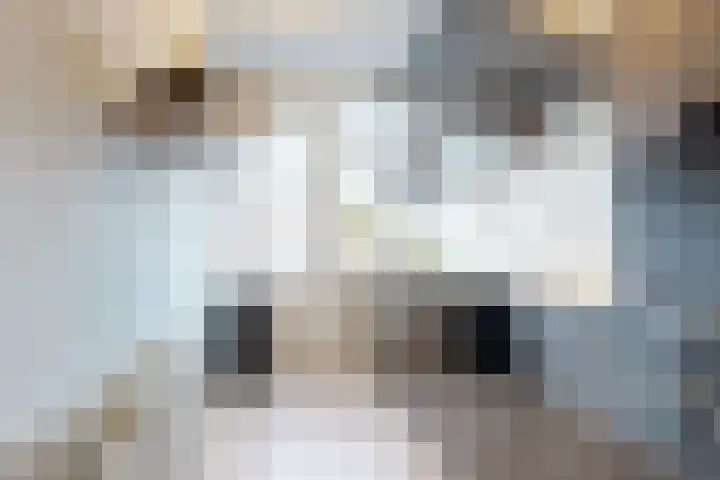 Witte de Withstraat 34 Alphen aan den Rijn thumbnail 4