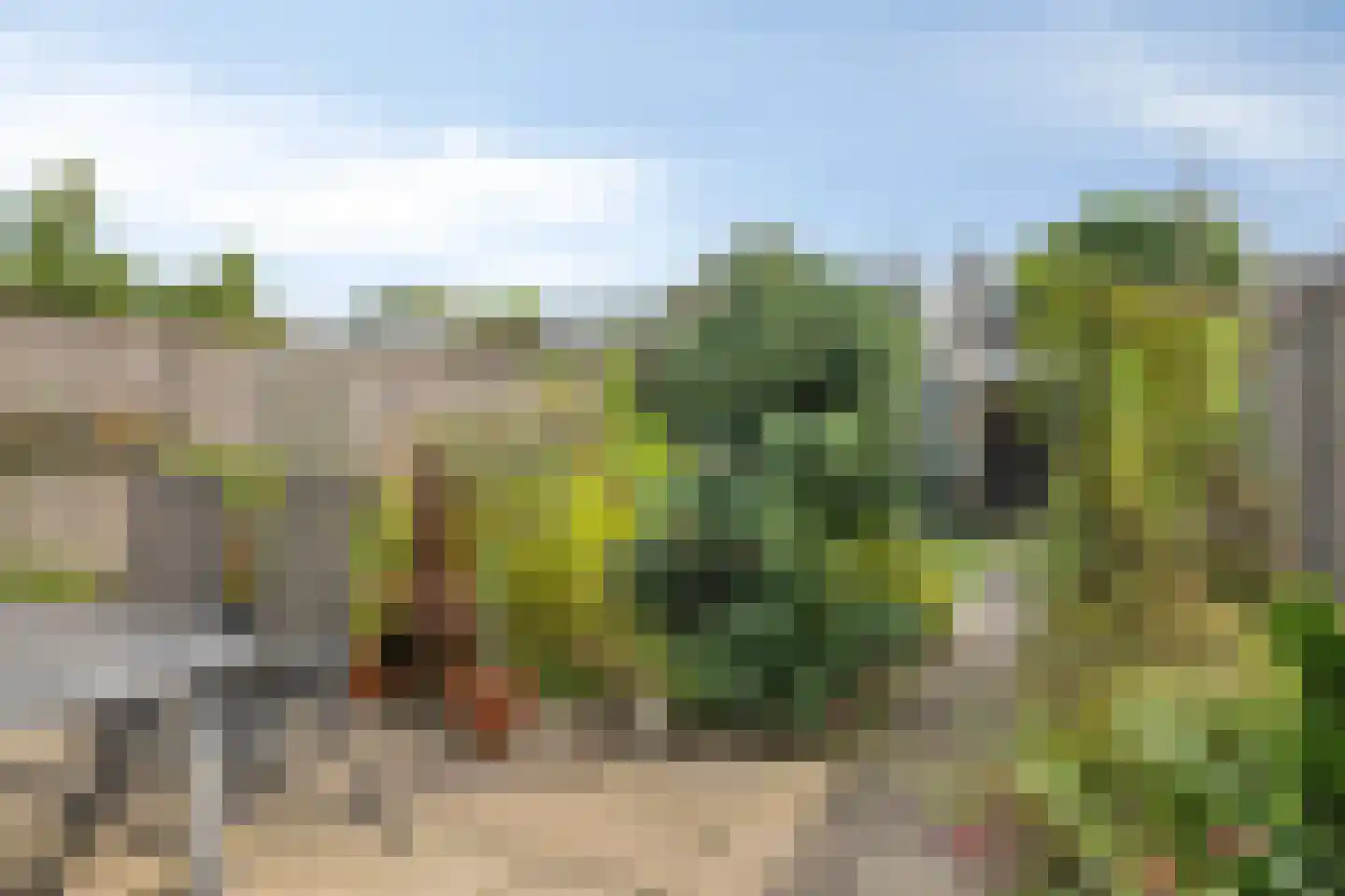 Witte de Withstraat 35 Best thumbnail 32