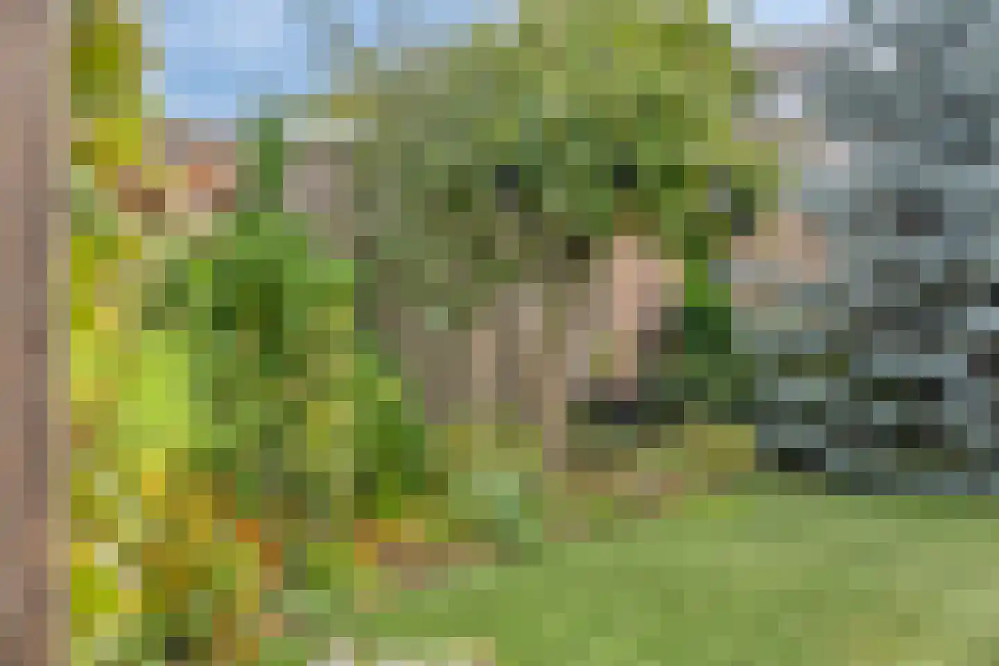 Witte de Withstraat 35 Best thumbnail 34