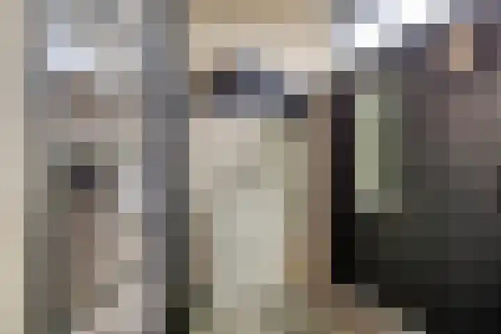 Witte de Withstraat 35 Hendrik-Ido-Ambacht thumbnail 7