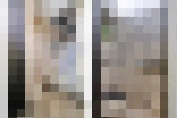 Witte de Withstraat 35 Hendrik-Ido-Ambacht thumbnail 8