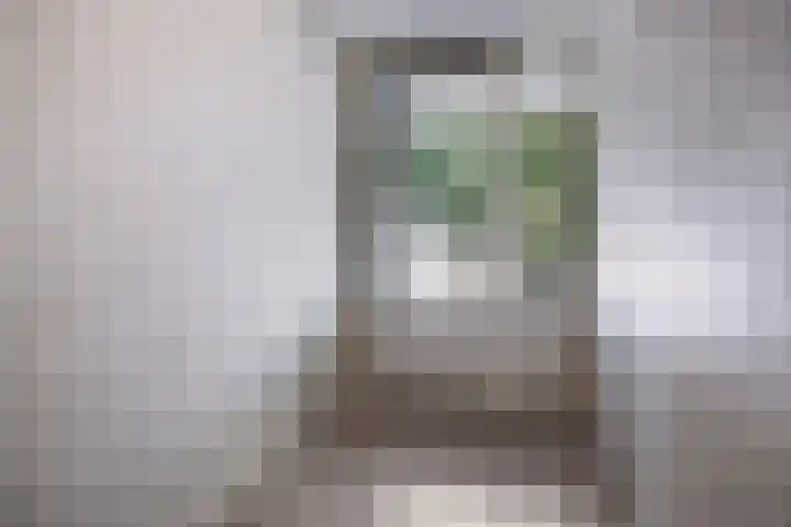 Witte de Withstraat 35 Terneuzen thumbnail 12