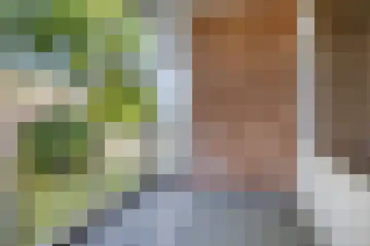 Witte de Withstraat 35 Terneuzen thumbnail 13